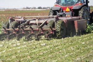 Sugar Beet Defoliator